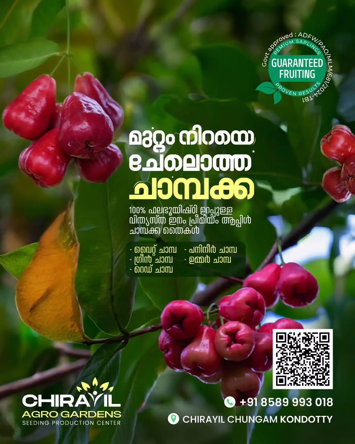 ചുവപ്പിന്റെ രുചി ഇനി വീടുതോറും പടരട്ടെ.